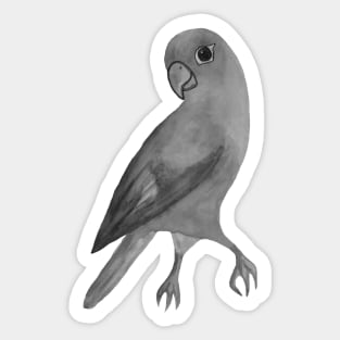 Black and white parrot Sticker